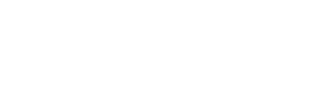 Logo version blanche diplomissimo