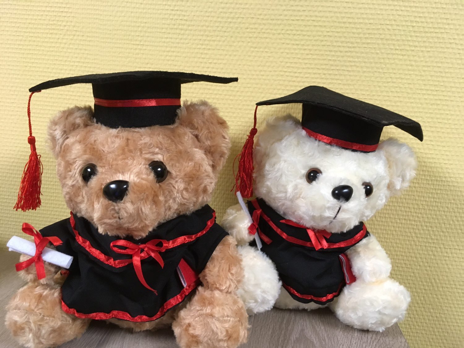 Ours en peluche de 23 cm (9 pouces) avec chapeau - Doux et moelleux, cadeau idéal pour la remise des diplômes du lycée - Jeux - Jouets